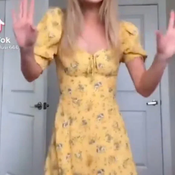 NWOT Reformation Lillet Dress size 4 in Felicity - Picture 4 of 8